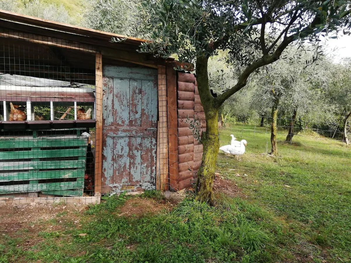 Farm stay Agriturismo Conte Brunello Salo
